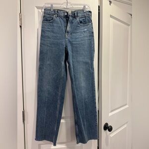 Everlane Women's The Way-High Jean